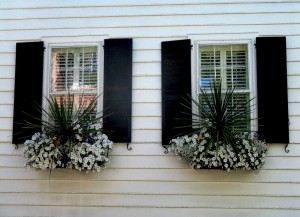 shutters2